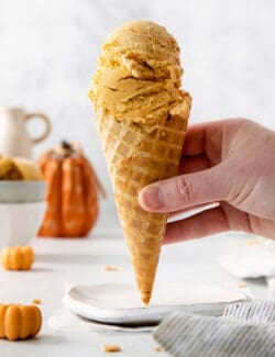 A hand holds a cone of pumpkin ice cream.