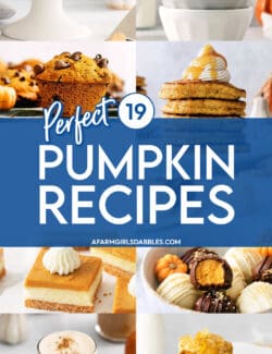 Pinterest image for 19 perfect pumpkin recipes