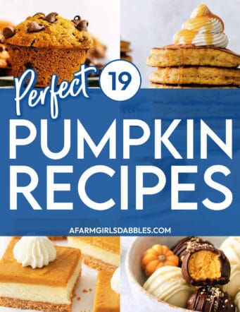a collage for 19 perfect pumpkin recipes