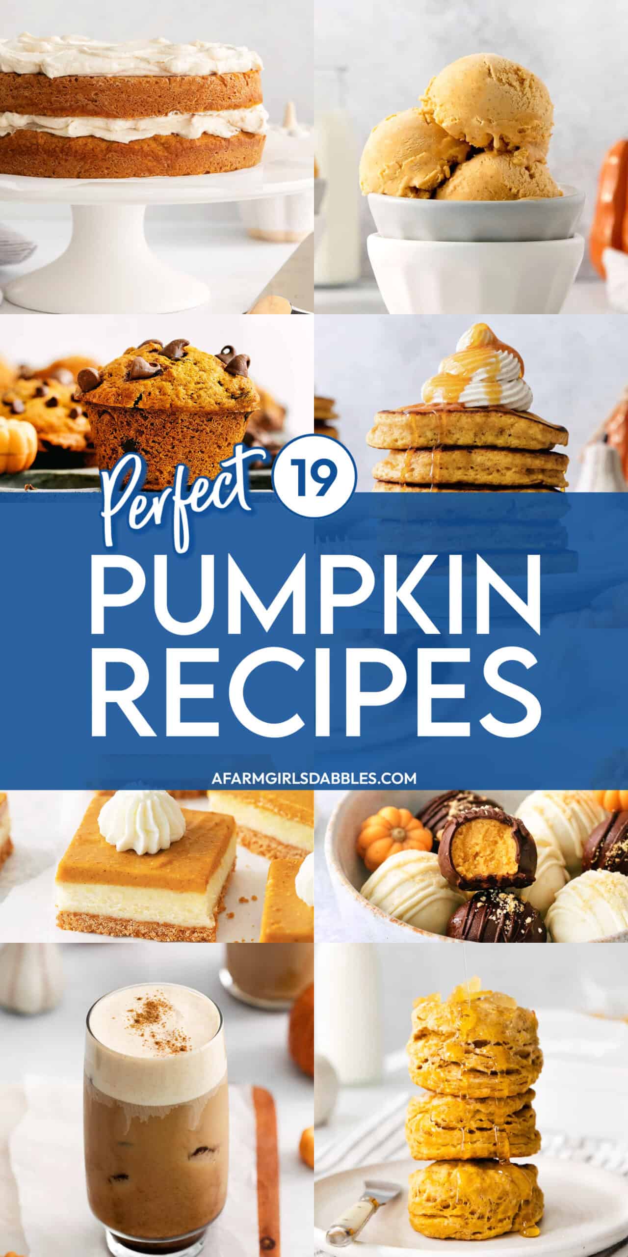 Pinterest image for 19 perfect pumpkin recipes