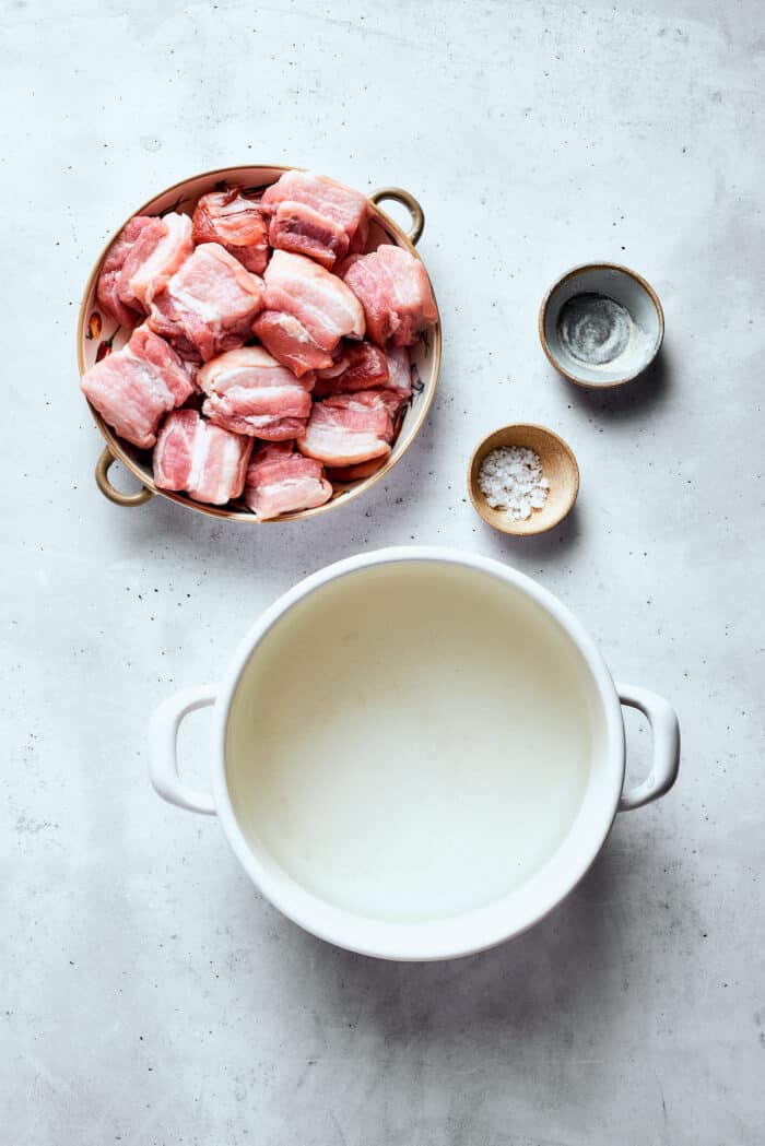 A bowl of pork is shown next to a white pot and a bowl of salt.