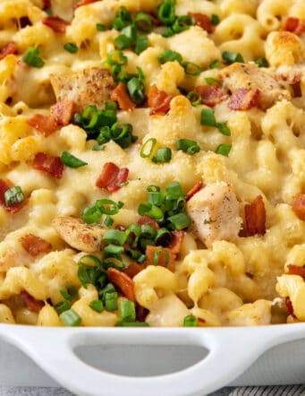 a white baking dish of baked pasta with cheese, chicken, and bacon