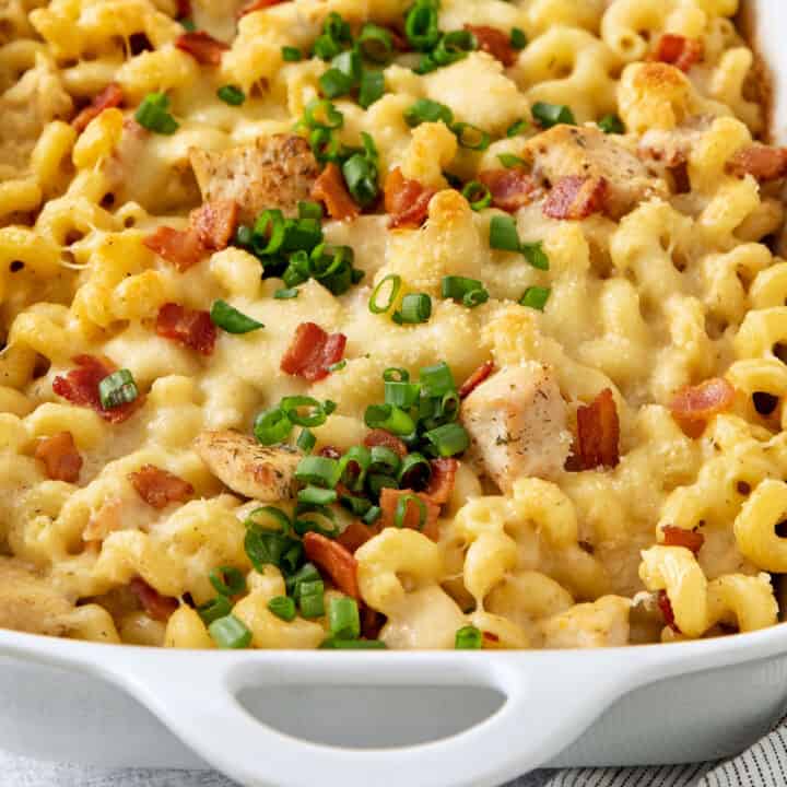a white baking dish of baked pasta with cheese, chicken, and bacon