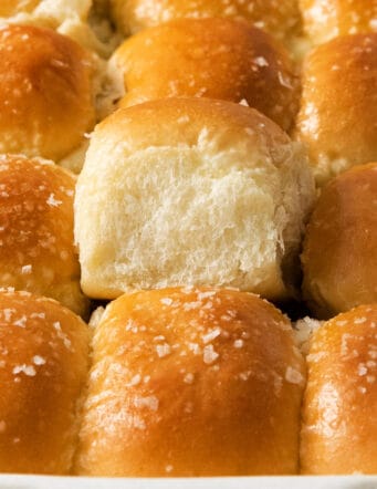 A close up shot of rhodes rolls with one showing a side view.