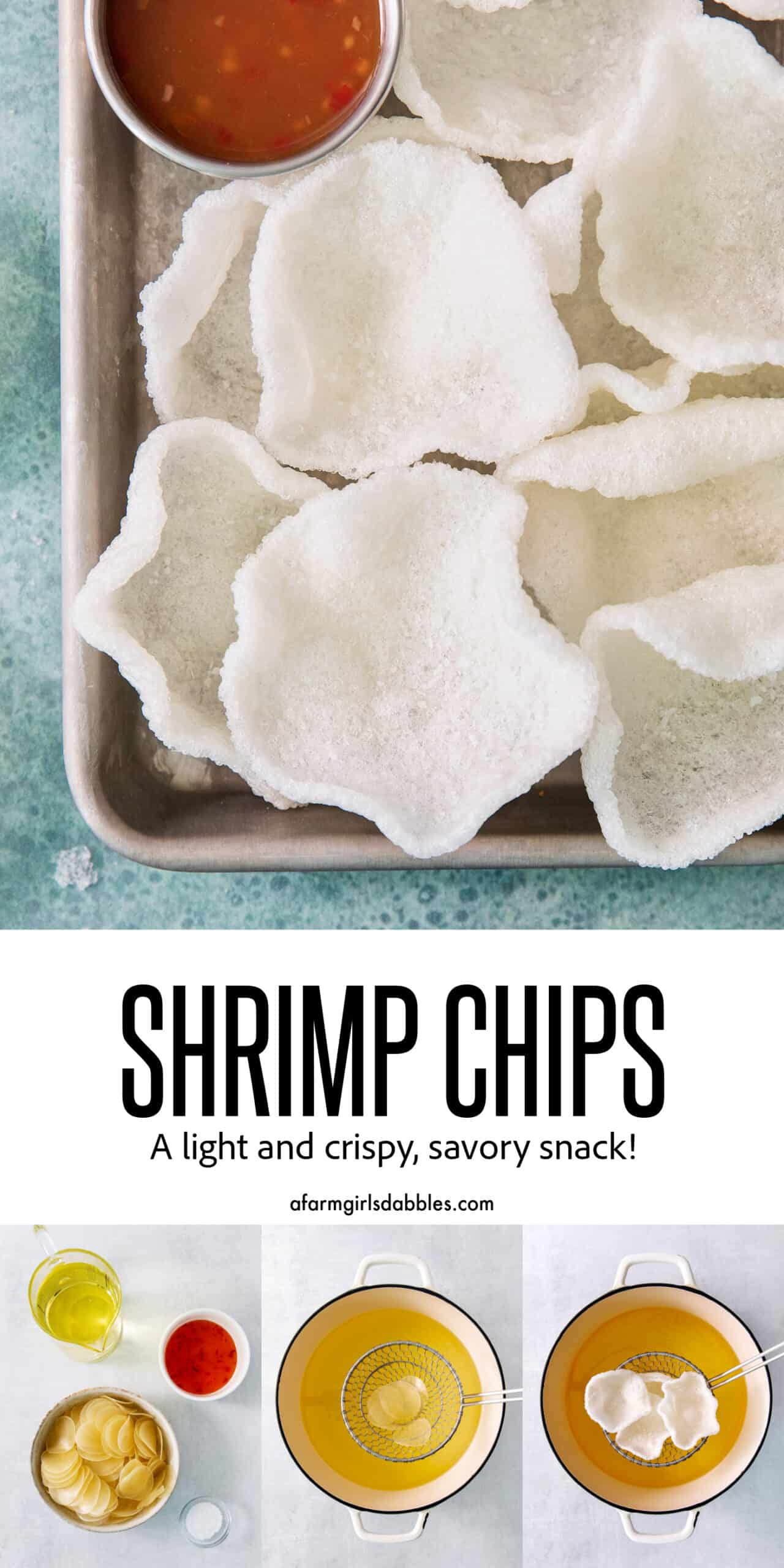 Pinterest image for shrimp chips