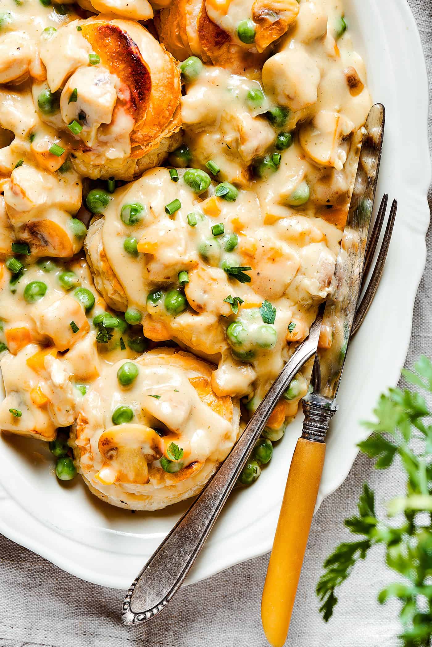 Turkey a La King Recipe A Farmgirl's Dabbles