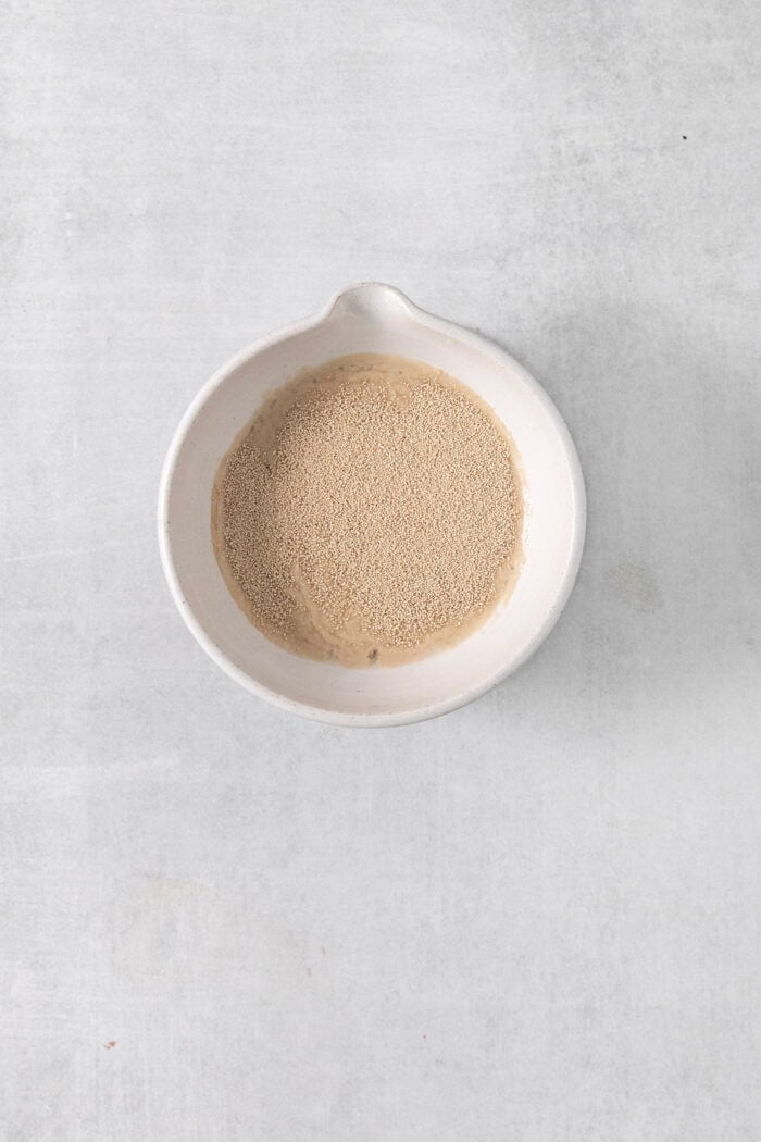 Yeast proofs in a white bowl on a white background.