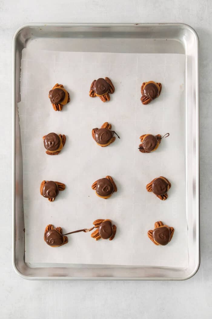 A tray of chocolate-topped chocolate turtles.