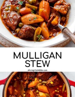 Pinterest image for mulligan stew