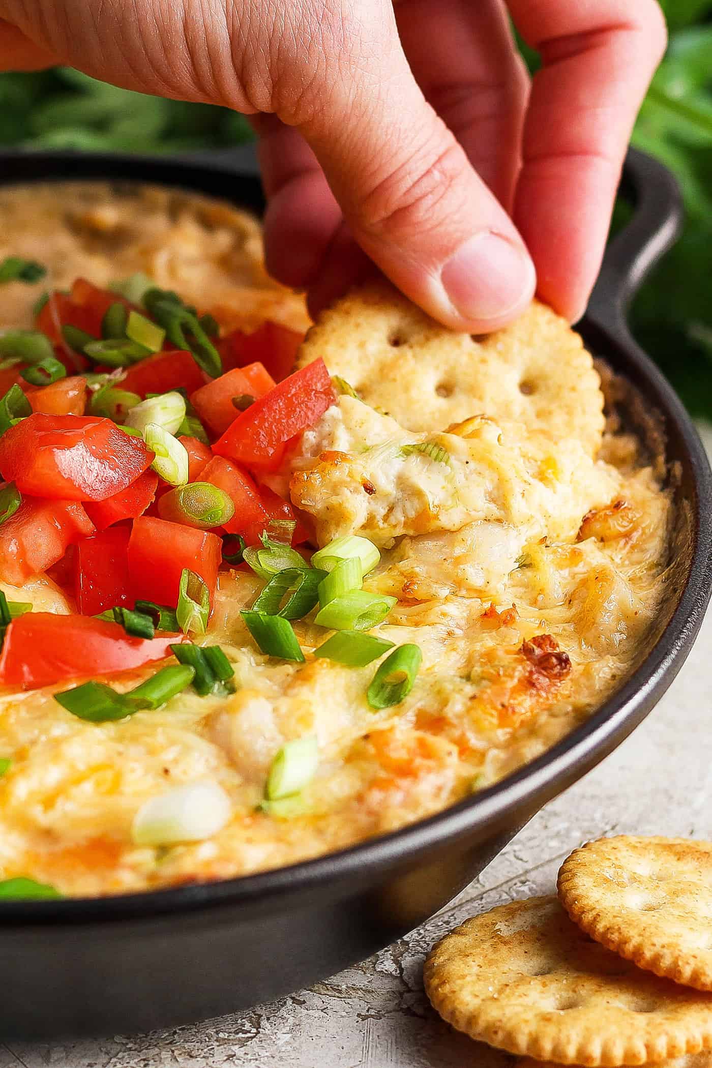 A hand dips a cracker into a tomato-topped bowl of shrimp and crab dip.