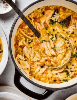 A ladle scoops out a portion of lemon chicken orzo soup from a soup pot.