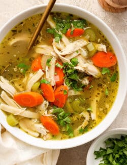 Chunks of chicken and vegetables are seen in a bowl of chicken noodle soup.