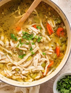 Shredded chicken, herbs and carrots are shown being stirred in a pot of chicken noodle soup.