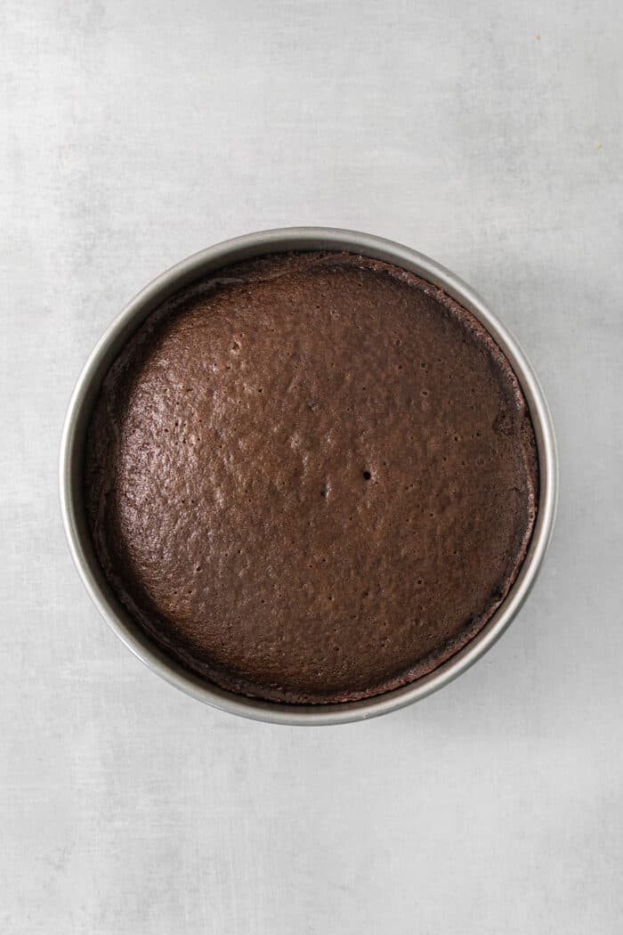 A metal baking tin holds a baked round of chocolate cake.
