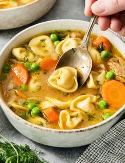 A spoon lifts a tortellini out of a bowl of lemon chicken tortellini soup.