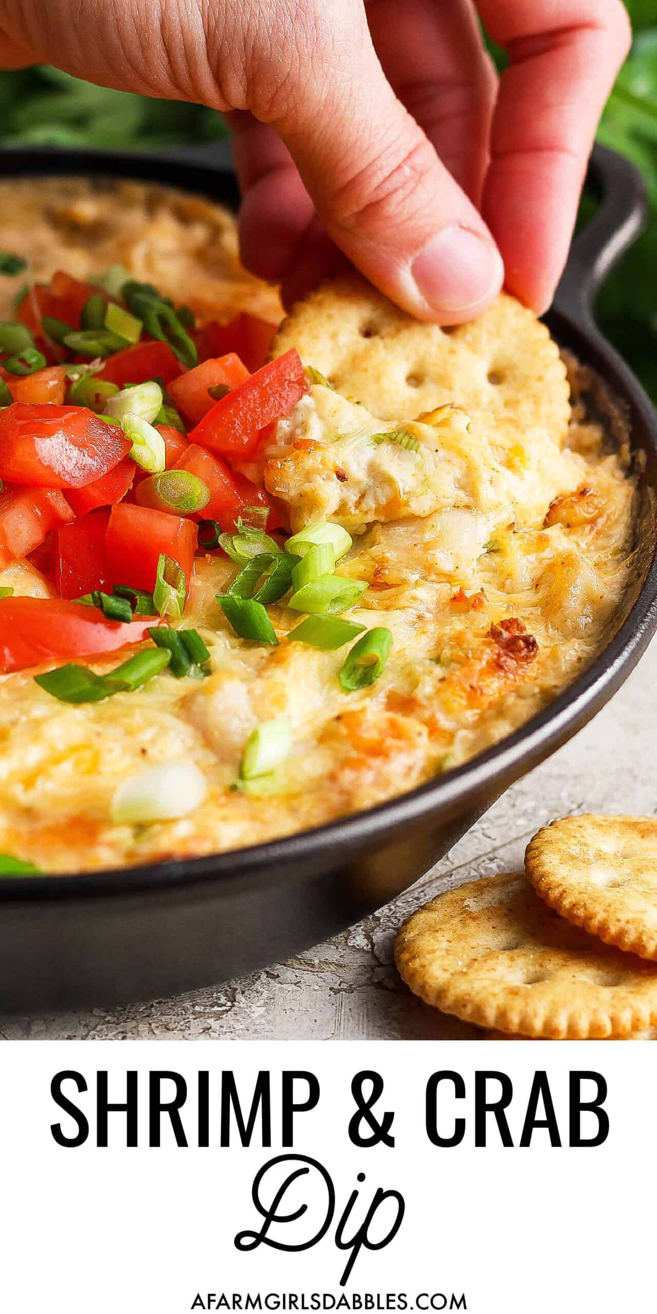Shrimp and Crab Dip A Farmgirl's Dabbles