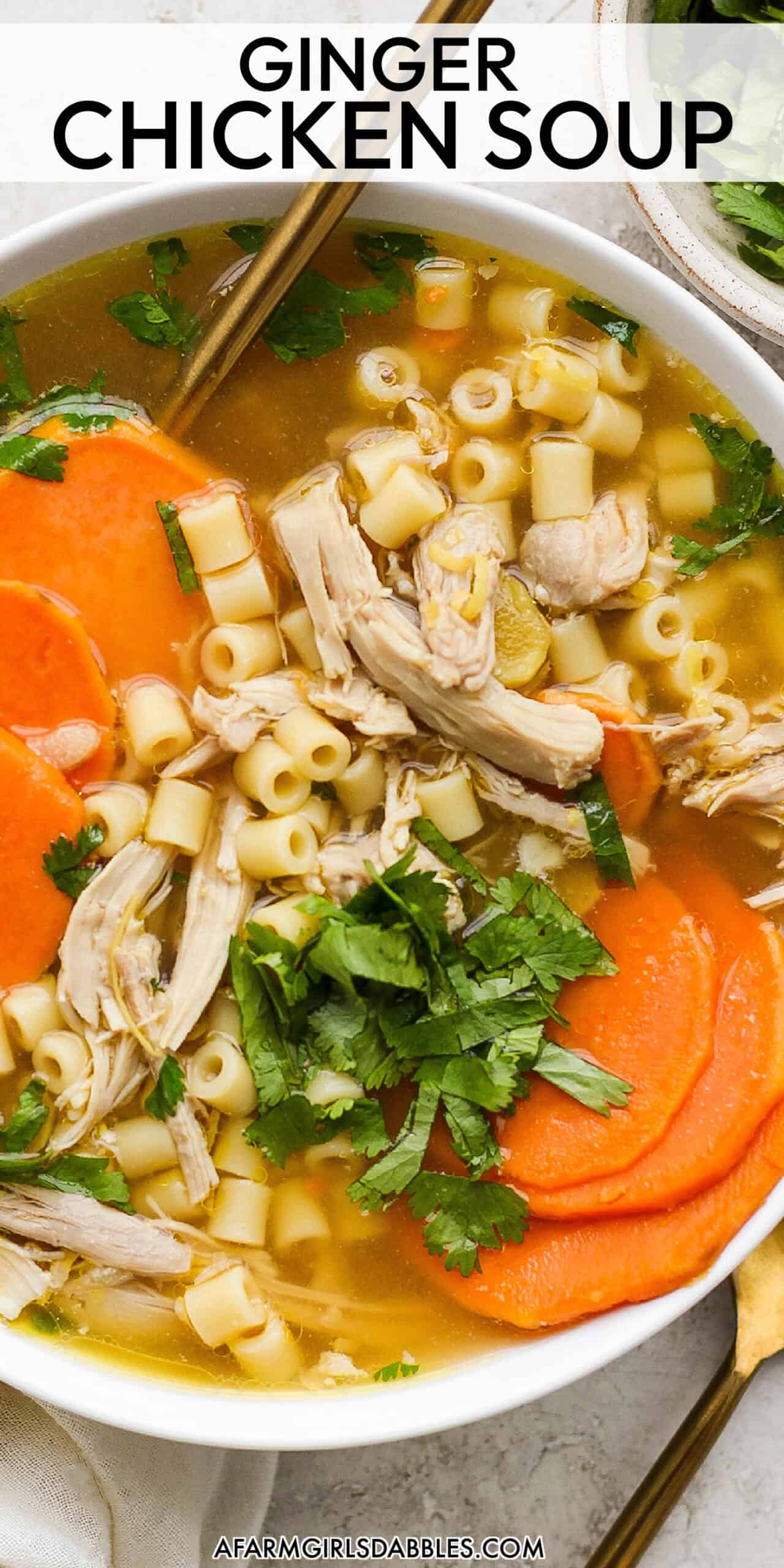 Homemade Chicken Ginger Soup | A Farmgirl's Dabbles