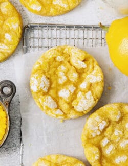 Powdered sugar tops lemon crinkle cookies.