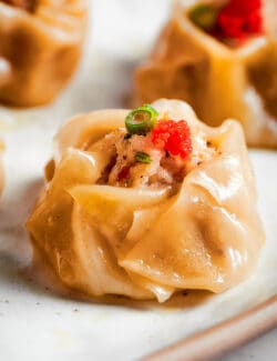 A shrimp shumai dumpling is shown in a side view close up.