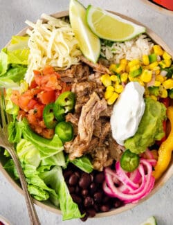 A colorful carnitas burrito bowl surrounded by toppings.