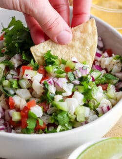 A hand dips a tortilla chip into a bowl of classic ceviche.