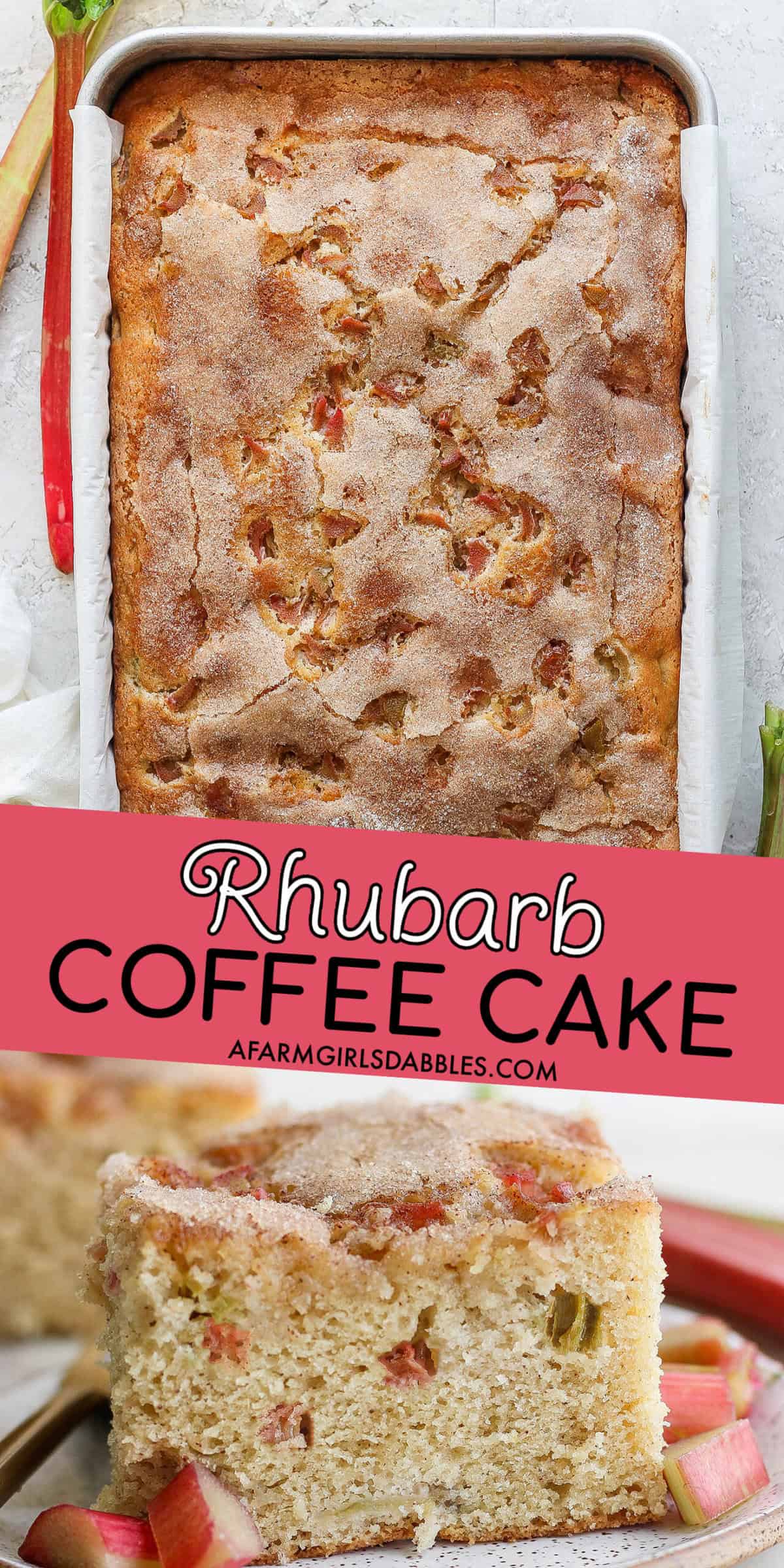 Rhubarb Coffee Cake (Easy Rhubarb Recipe!)