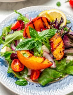 an individual plate of salad with grilled peaches and basil