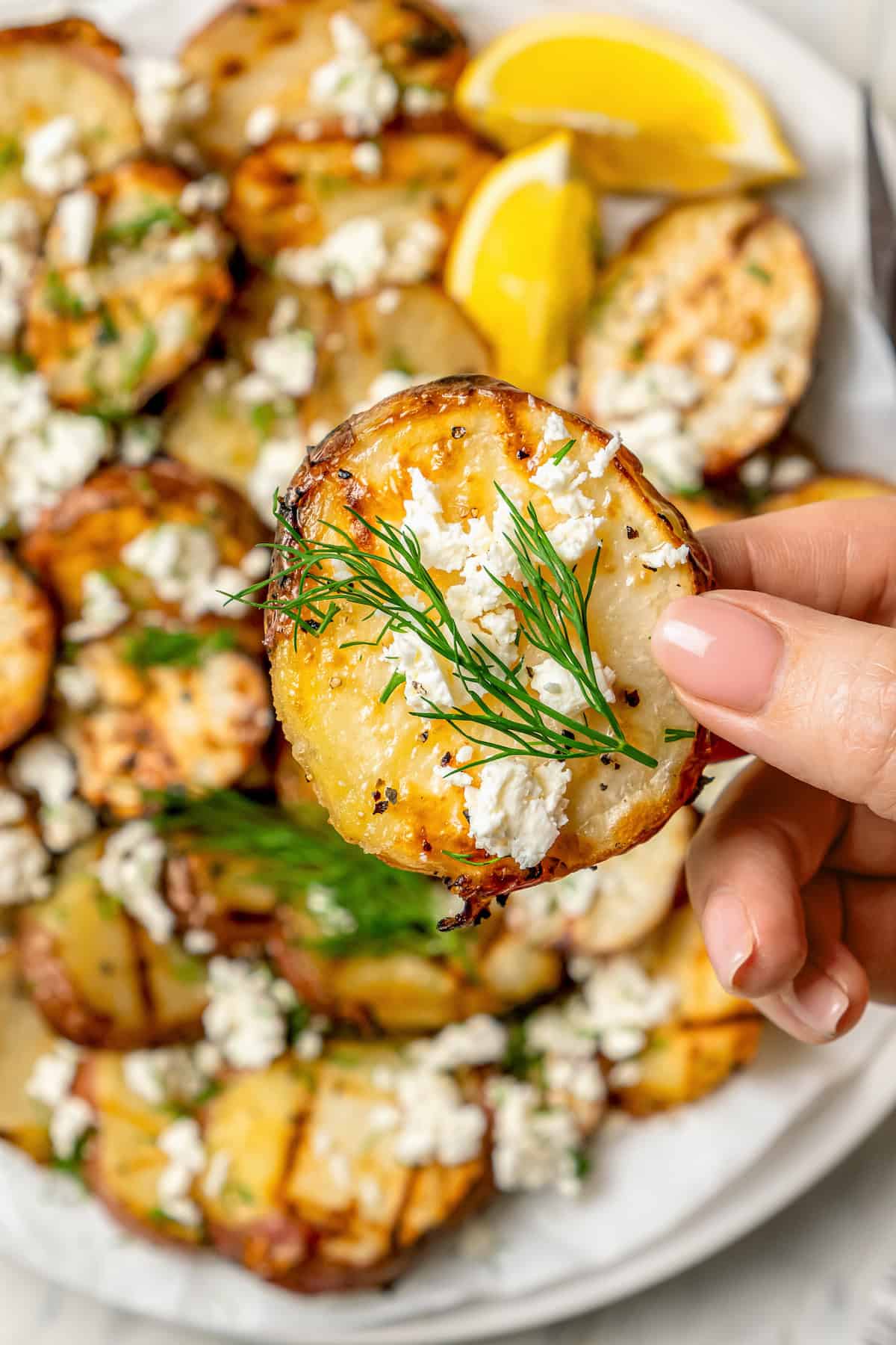 A hand picks up a slice of grilled red potato with dill.