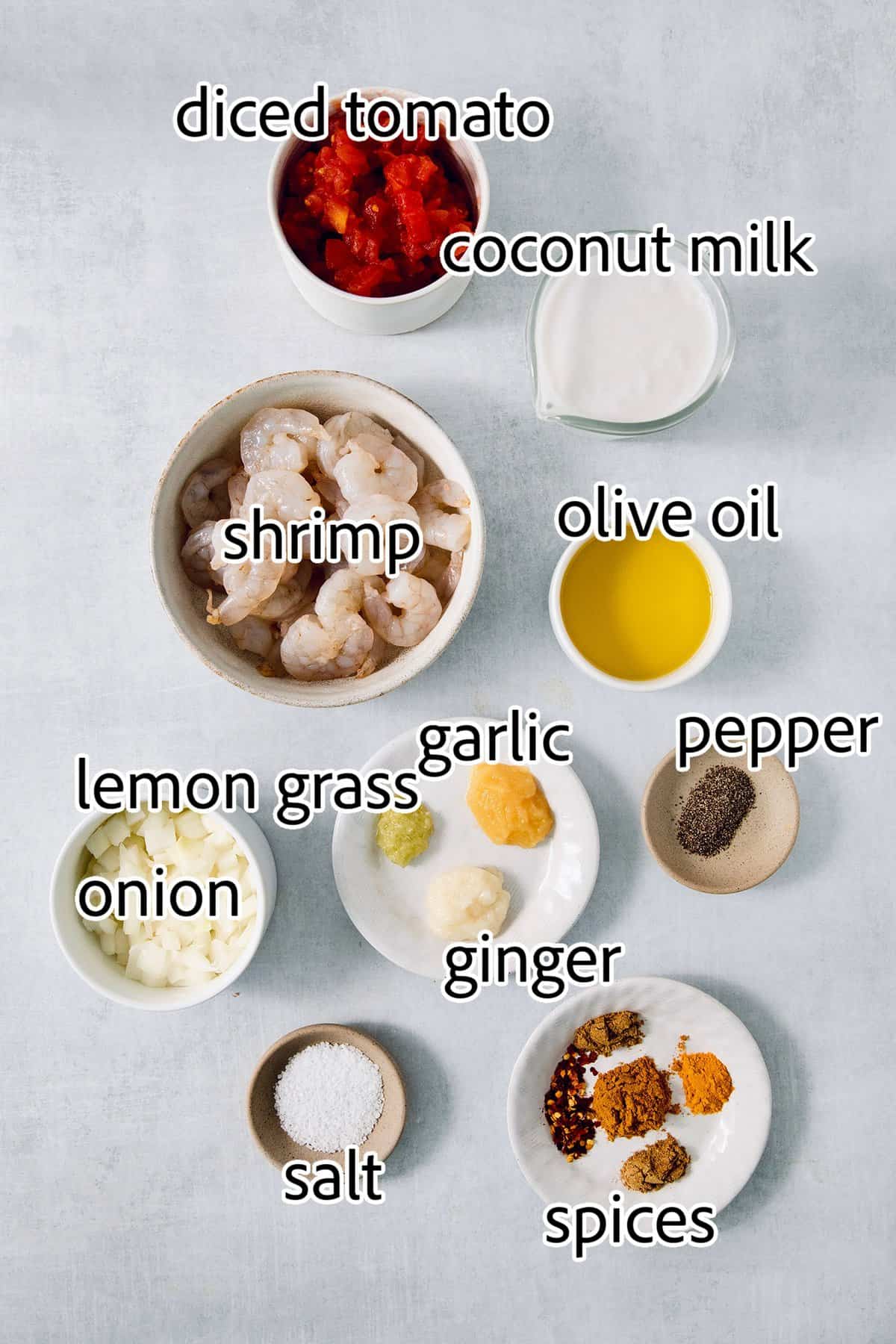 ingredients needed for shrimp curry