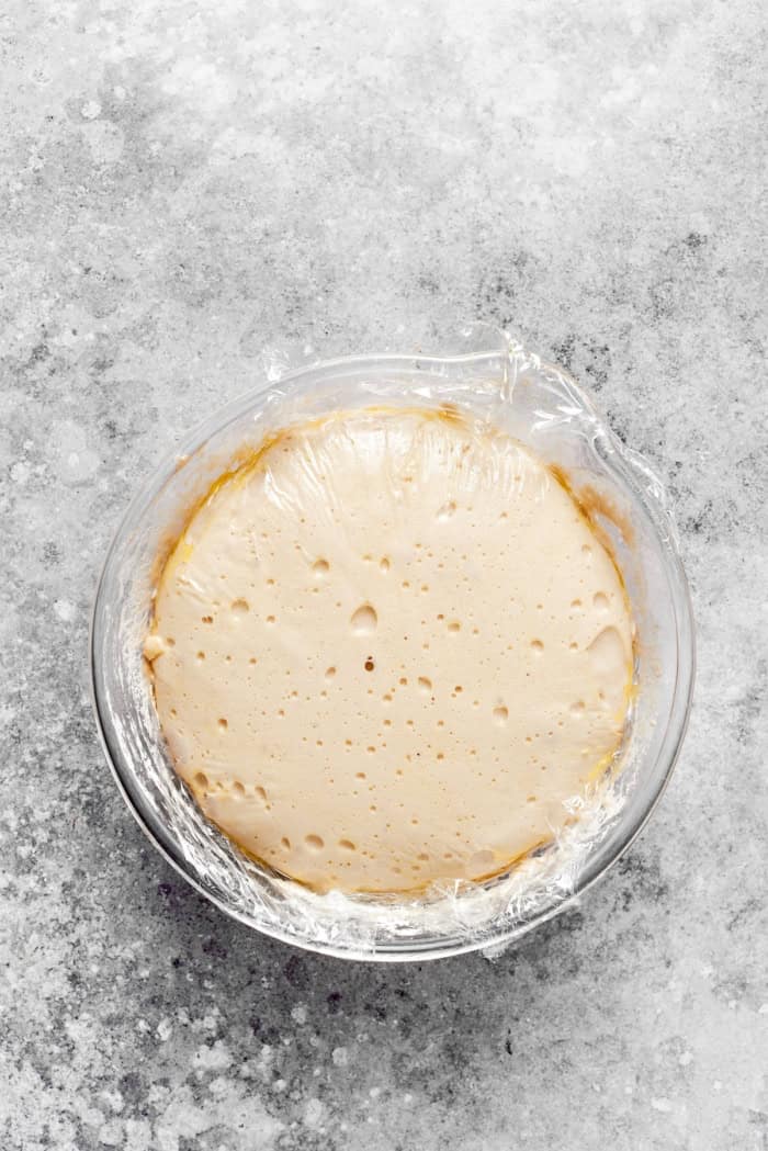 Overhead view of English muffin bread dough in bowl covered with plastic