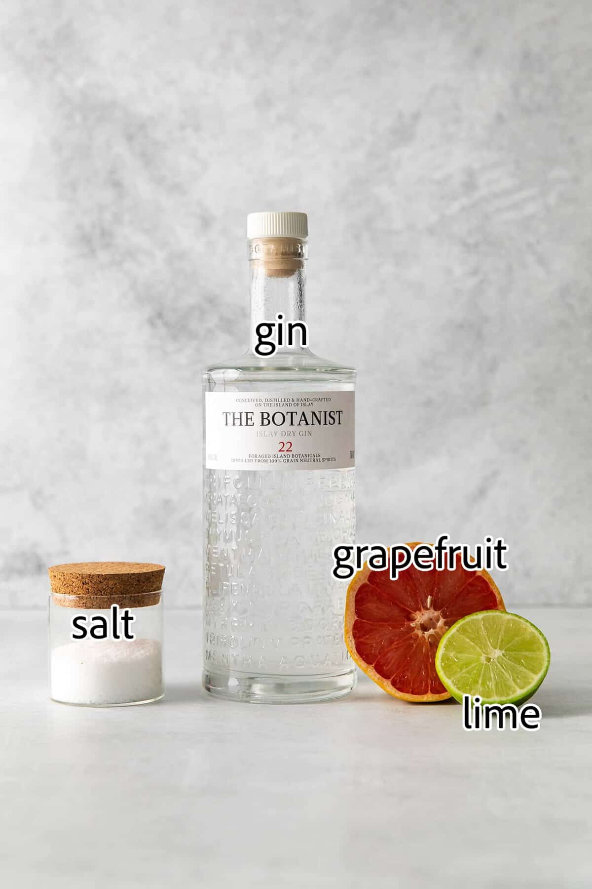 ingredients needed for salty dogs