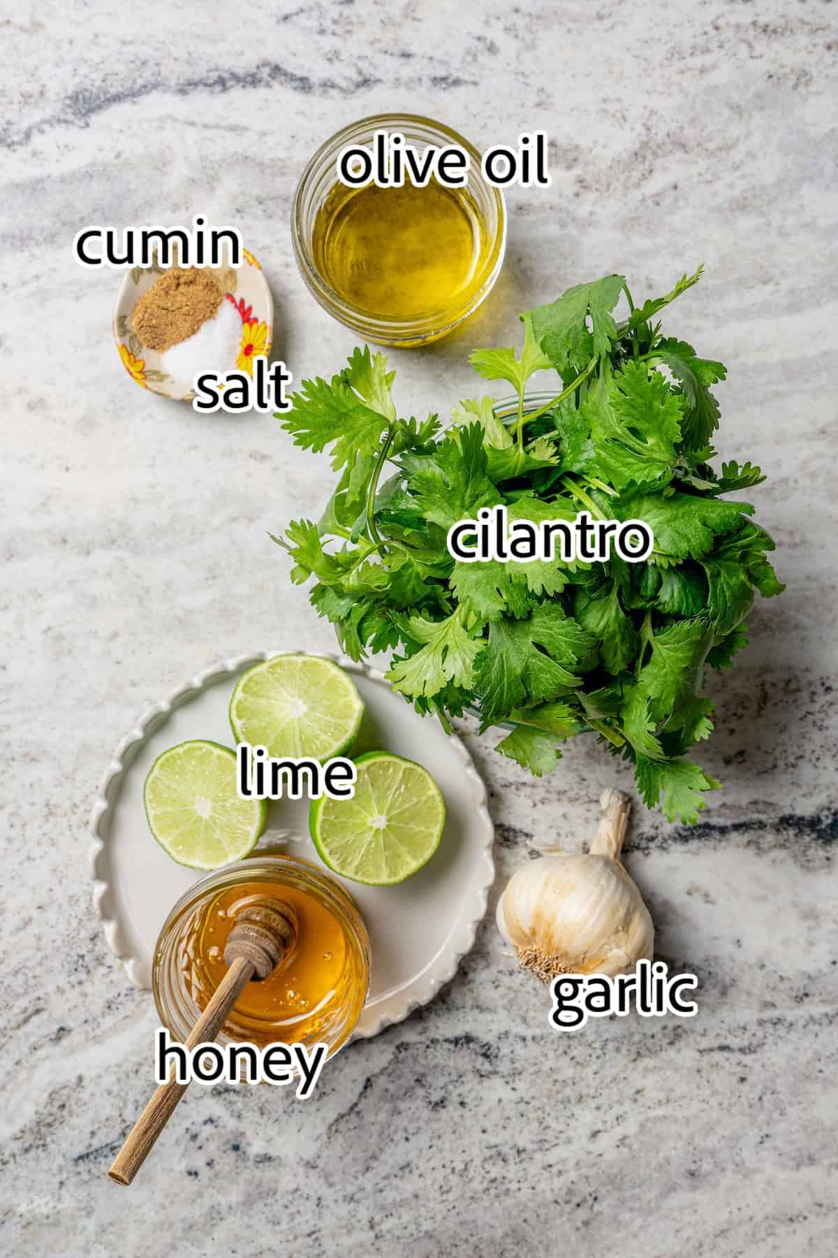 ingredients needed for cilantro lime vinaigrette