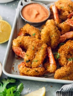 Crispy butterfly shrimp on metal tray with creamy cocktail sauce