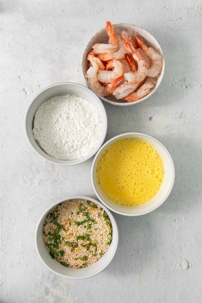 Overhead view of dredging station for butterfly shrimp