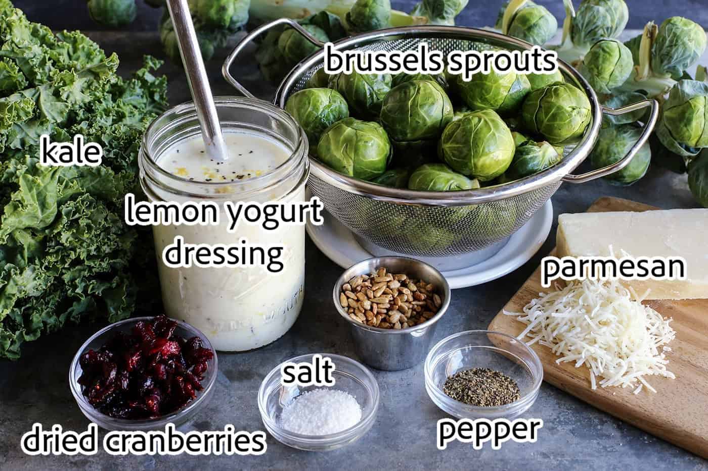 ingredients needed for shaved brussels sprouts salad.
