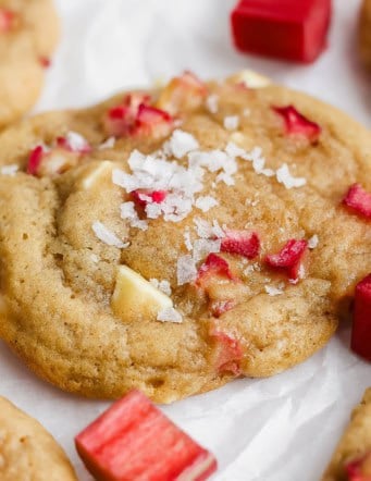 Closeup of rhubarb cookie topped with Maldon sea salt