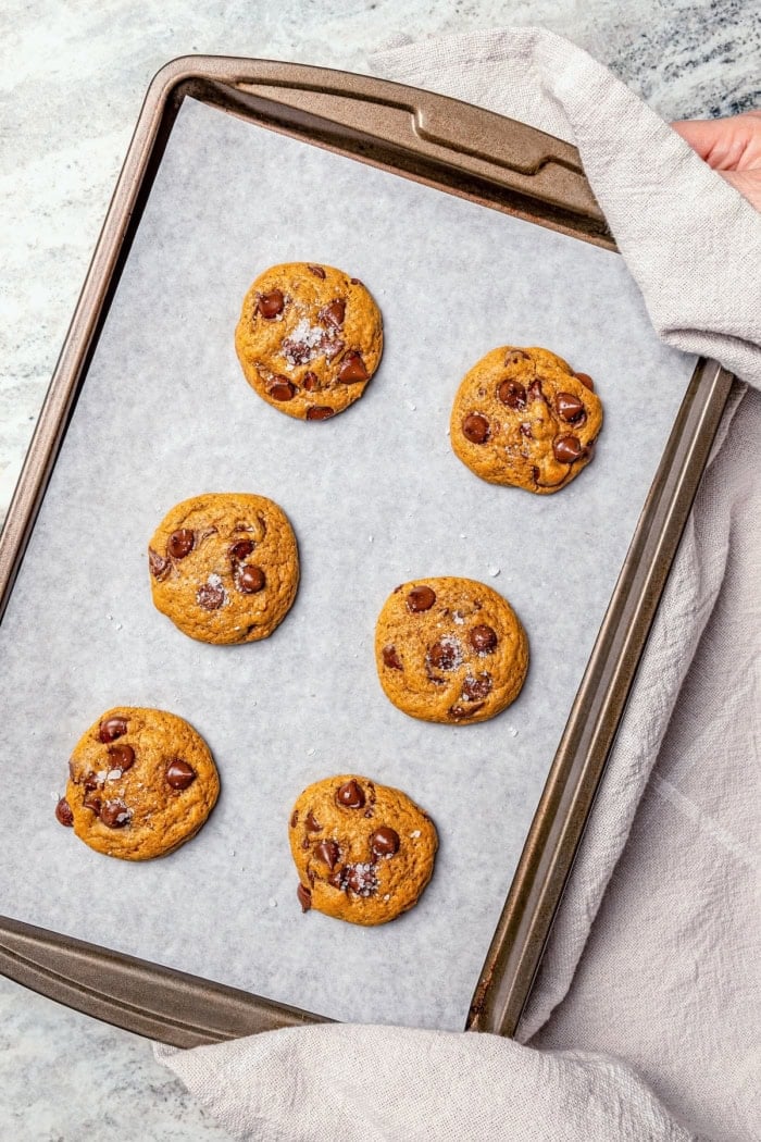 Soft, moist, and chewy, these Pumpkin Chocolate Chip Cookies are the perfect sweet treat for fall! Pumpkin pie spice adds warm, cozy flavor. Pumpkin chocolate chip cookies on parchment lined baking sheet.