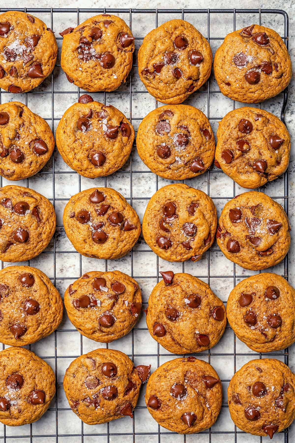 Soft, moist, and chewy, these Pumpkin Chocolate Chip Cookies are the perfect sweet treat for fall! Pumpkin pie spice adds warm, cozy flavor. Pumpkin chocolate chip cookies on wire rack.