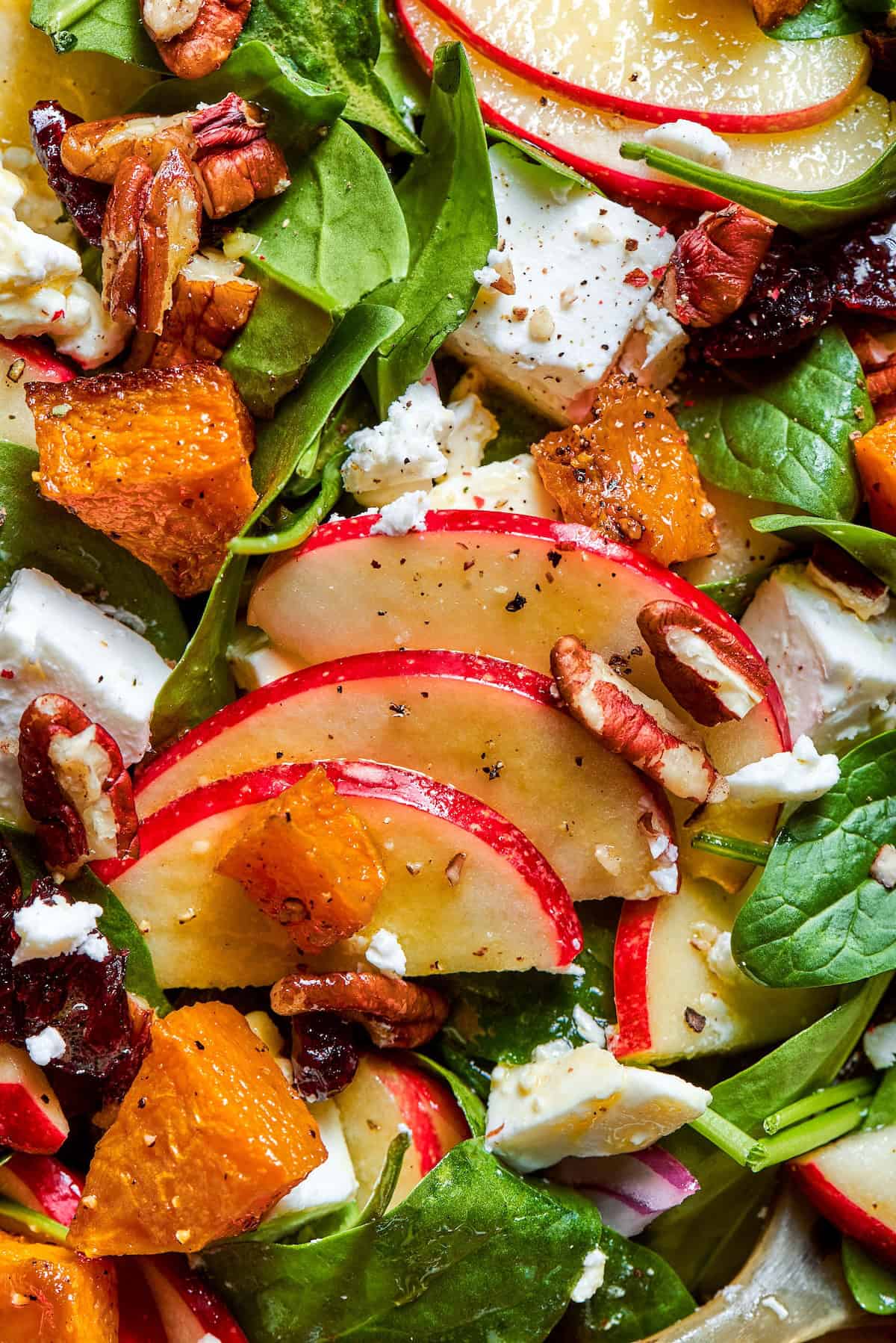 a close-up photo of an assembled fall harvest salad