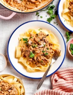 ground beef stroganoff on a white plate with a blue rim