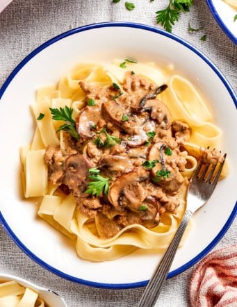 ground beef stroganoff on a white plate with a blue rim