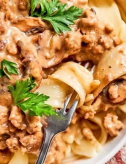 close-up photo showing a fork twirling a noodle in ground beef stroganoff