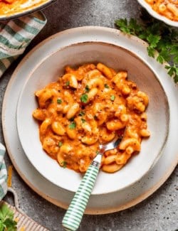 Bowl of hamburger helper with spoon.