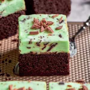 a piece of chocolate cake with mint chocolate chip buttercream frosting