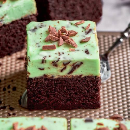 a piece of chocolate cake with mint chocolate chip buttercream frosting