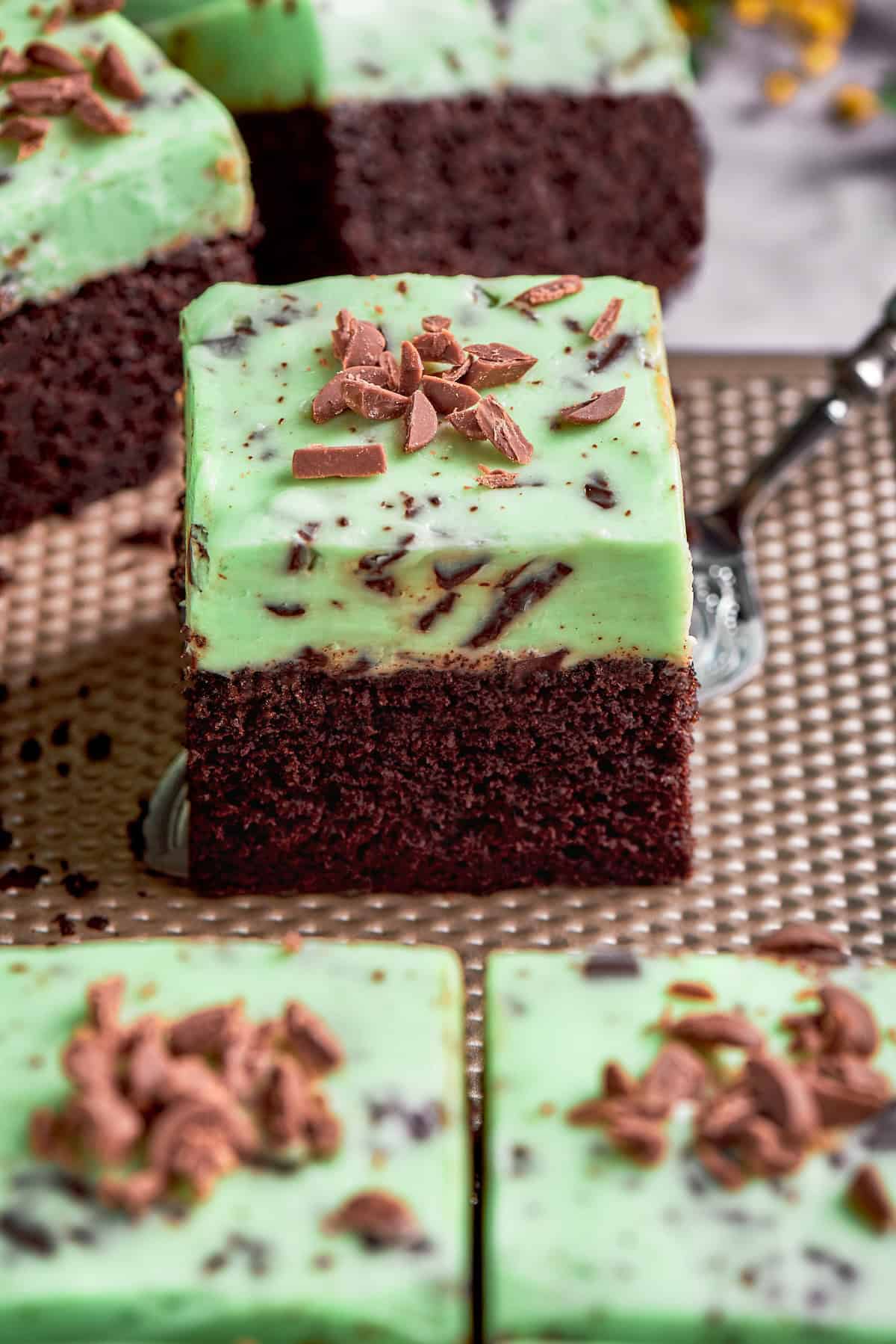a piece of chocolate cake with mint chocolate chip buttercream frosting