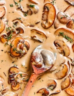 close-up photo of creamy mushroom sauce with a wooden spoon