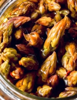 close-up photo looking into a jar of pickled asparagus spears