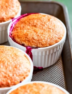 mini blueberry cobblers in ramekins, baked with golden cobbler topping